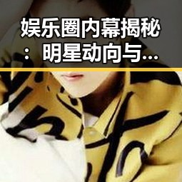 娱乐圈内幕揭秘:明星动向与粉丝动情瞬间解析
