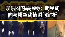 娱乐圈内幕揭秘:明星动向与粉丝动情瞬间解析