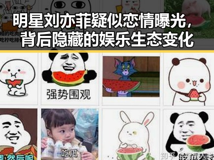 明星刘亦菲疑似恋情曝光，背后隐藏的娱乐生态变化