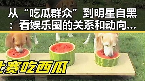 从“吃瓜群众”到明星自黑:看娱乐圈的关系和动向变迁