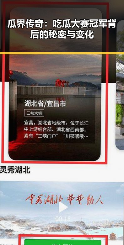 瓜界传奇：吃瓜大赛冠军背后的秘密与变化